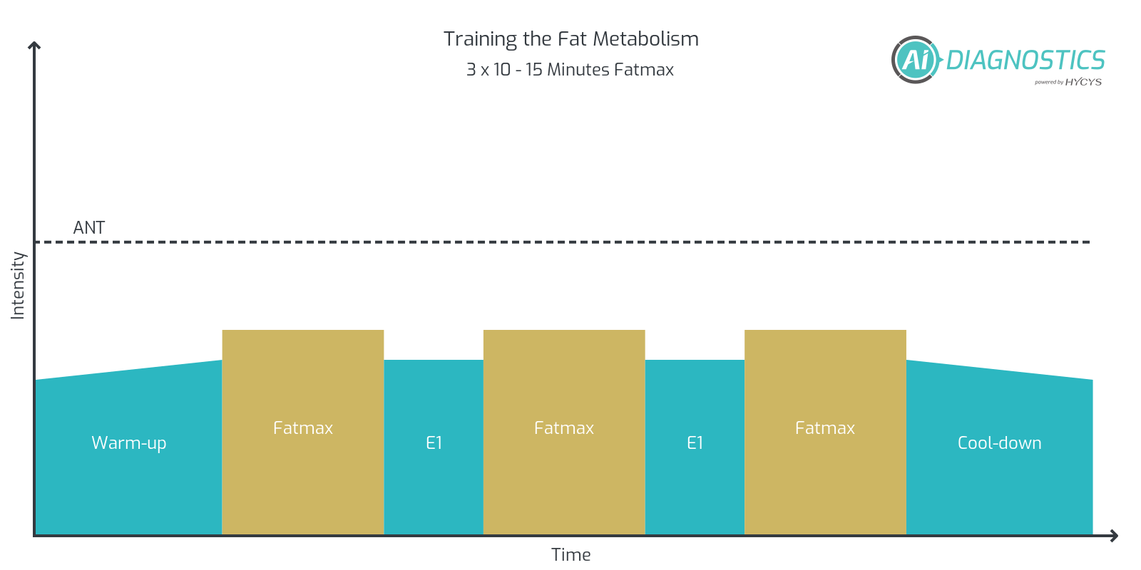 Training Session:10- to 15-Minute Fatmax Intervals to Improve Fat Metabolism